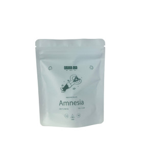 Imagen del CBD Canna Amnesia [Flor · 5g]