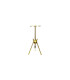 Hookah Skull OVNI Gold