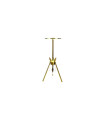 Hookah Skull OVNI Gold