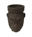 Cazoleta KONG King Kong