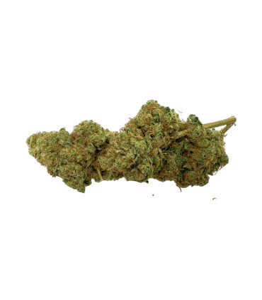 Imagen de CBD Big Dream Limoncello Glasshouse (4g)