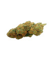 CBD Big Dream Watermelon Indoor (4g)