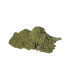 Imagenes CBD Big Dream Cannatonic Premium (4g)